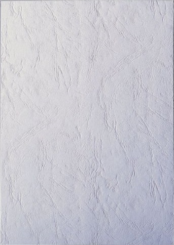 Обложка A4 Картон "под кожу" 230г/м2 OFFiCE KiT(100шт),цвет - белый - white, для переплета фото
