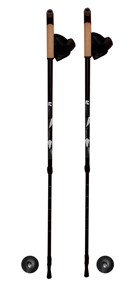 Палки телескопические для скандинавской ходьбы Fora XG-04, 65-135 см черный фото